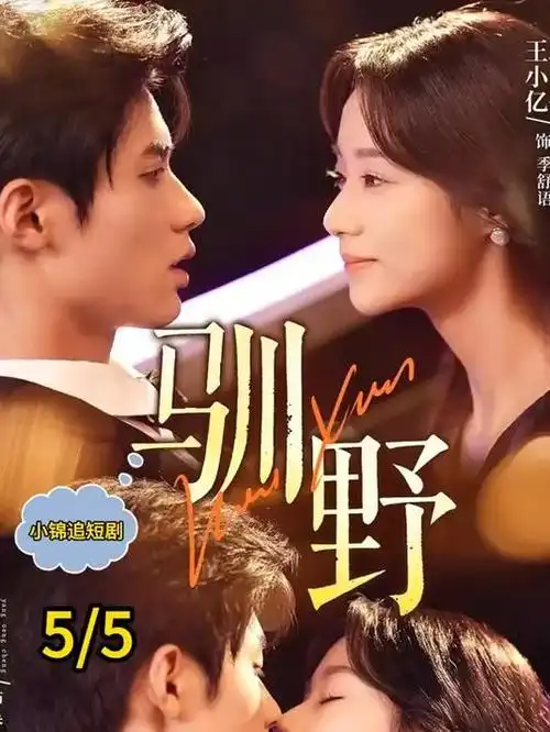南风知我意青春爱情剧全集